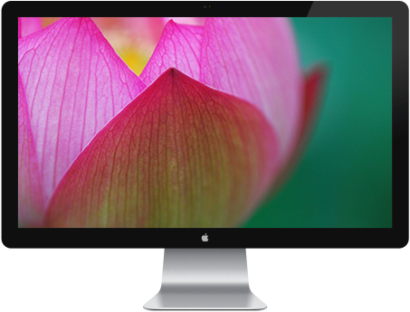 Web Design, Lotus